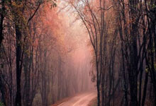 多特蒙德新秀青年才俊亮相，独中两元助球队获胜