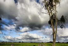 国内外篮球梦之队交流活动掀起高潮球员教练热情参与